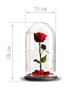 Размер розы в колбе 26х15 см
