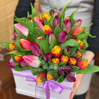 51 розовый тюльпан в коробке