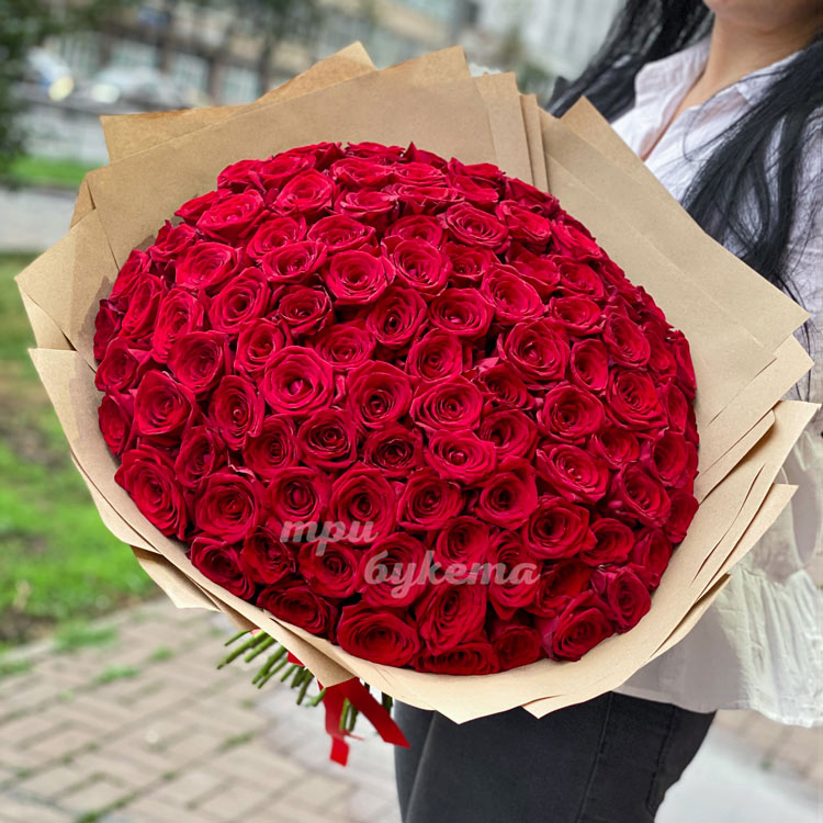 101 красная роза (Premium) 70 см (в руках)