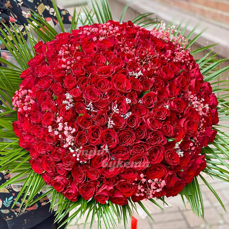 Букет из 201 красной розы 70 см (в руках)