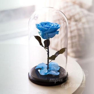 Голубая роза в колбе Premium 26 см