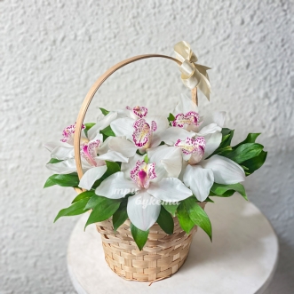 Корзина белых орхидей с рускусом