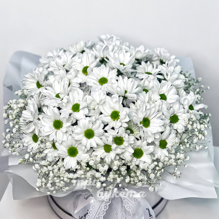 Коробка белых хризантем и гипсофил (крупный план)