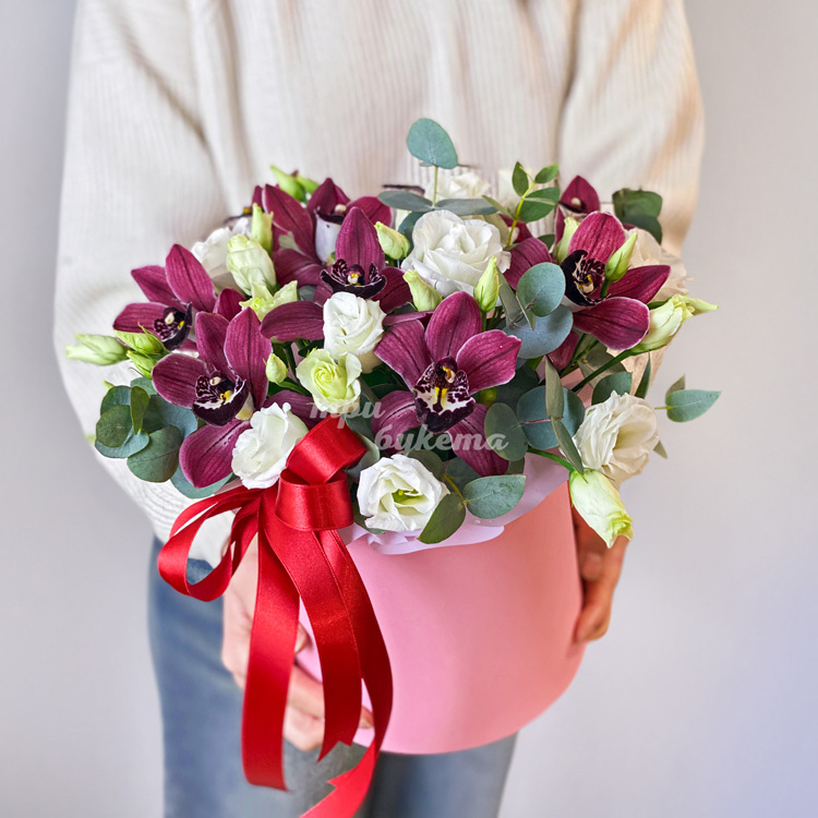 Коробка бордовых орхидей и белых эустом