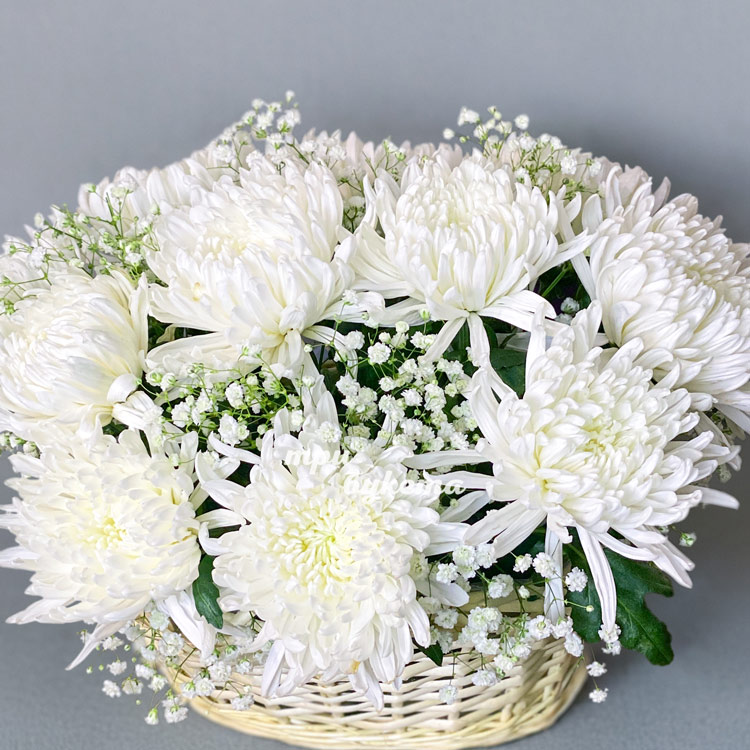 Корзина белых хризантем с гипсофилой (крупный план)